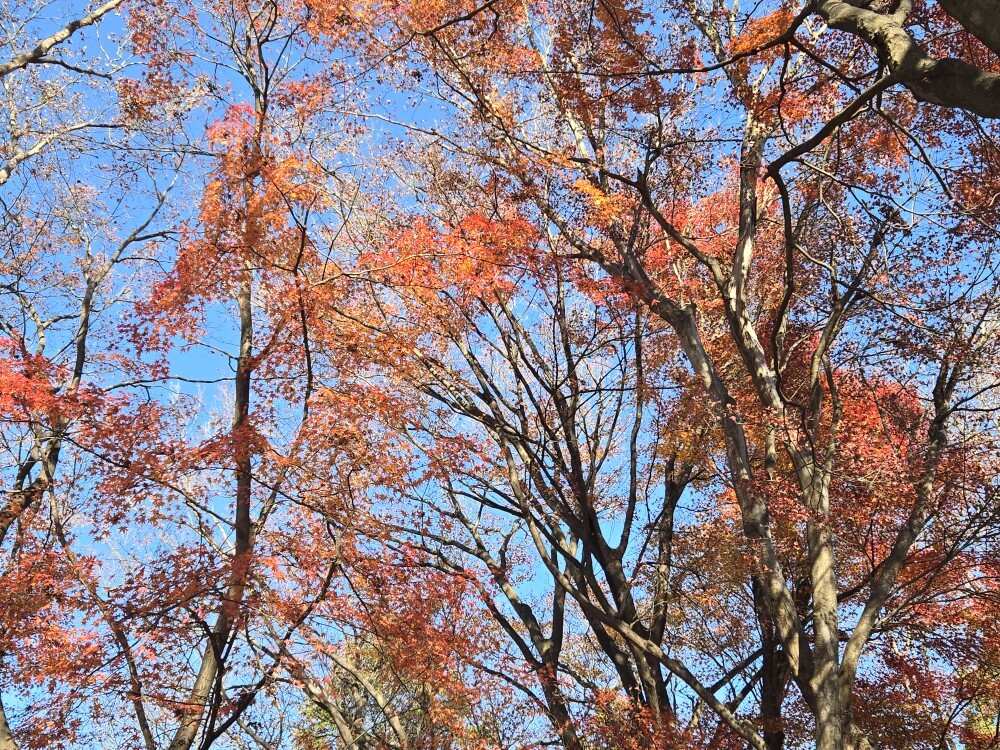 20251130_124744 - Seiji Minami