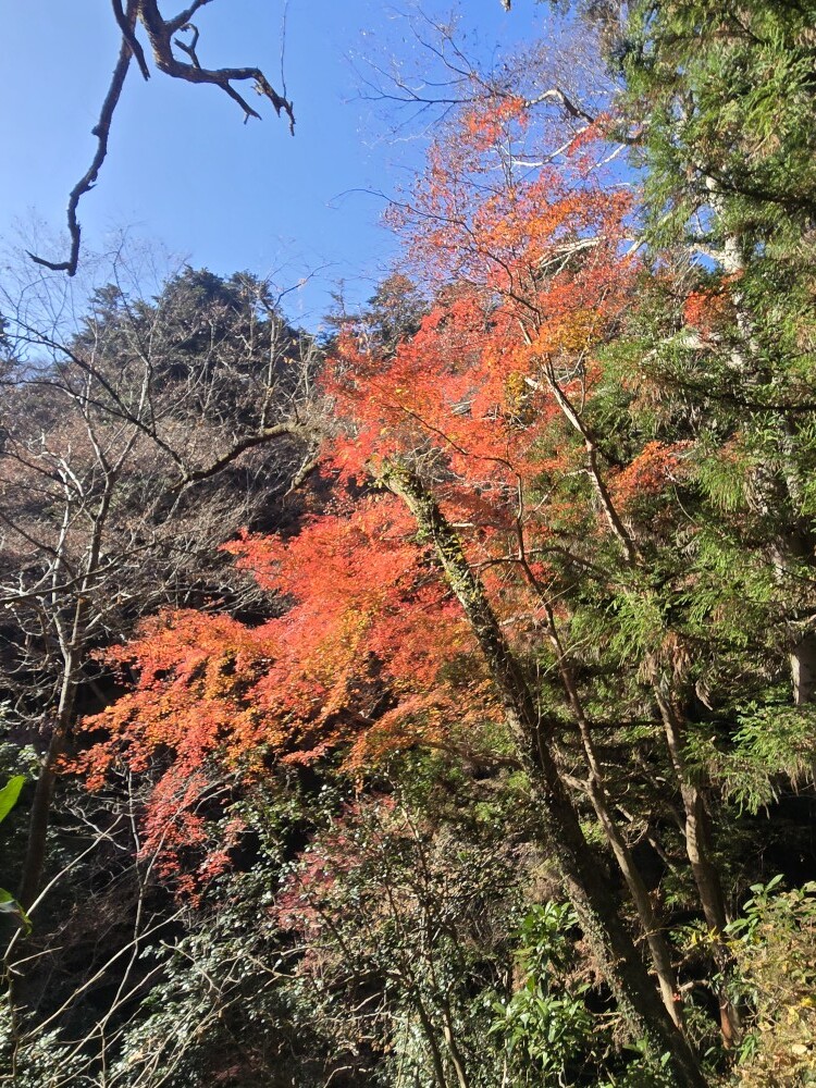 20251130_132129 - Seiji Minami