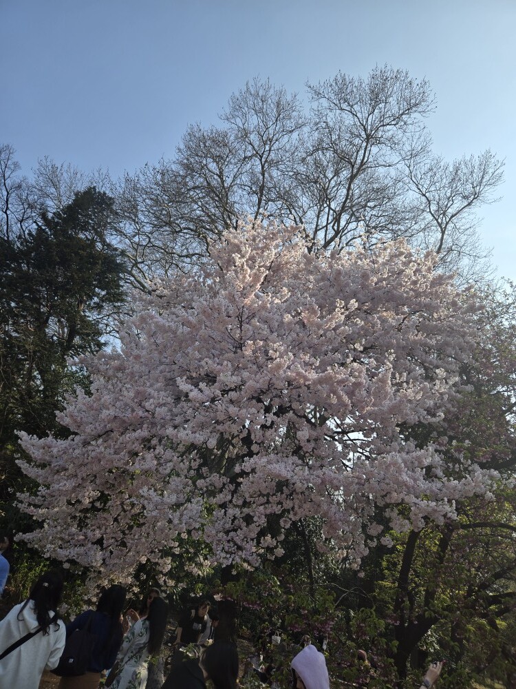 20260329_143021 - 南誠二