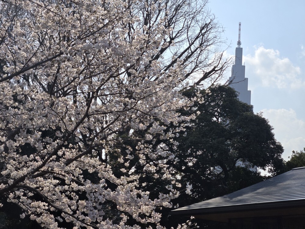 20260329_144257 - 南誠二