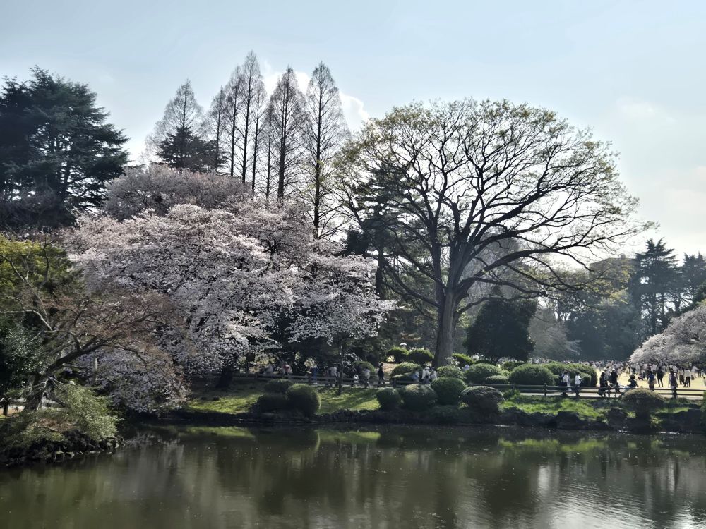 re20260329_145054 - 南誠二