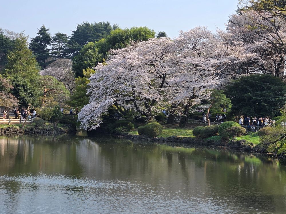 re20260329_144858 - 南誠二